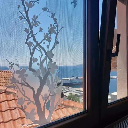 Saguaro's Holiday home *