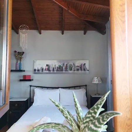 Tatil Evi Saguaro's *