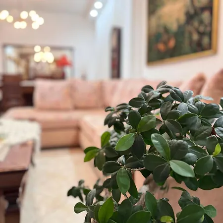 Saguaro's Holiday home