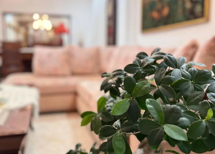 Saguaro's Σπίτι διακοπών